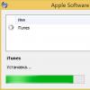 ITunes teekandes: paigaldamine ja uuendamine PC (Windows) ja MAC (OS X), Käsitsi ja automaatne kontrollimine iTunes uuendused