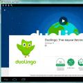 DUOLINGO - online language learning program