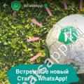 WhatsApp nima va undan qanday foydalanish kerak