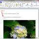How to quickly merge two or more office documents using Word