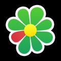 Where is the history of ICQ chats stored?