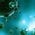 Xulosa: Viruslar.  Viruslar.  Umumiy xarakteristikalar Biologiyada viruslar haqida hamma narsa